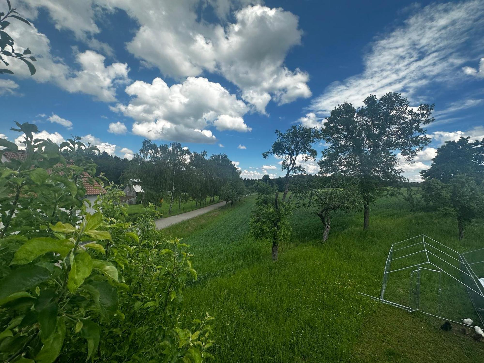 Ferienunterkunft Schwaebischer Wald Oberrot Esterno foto