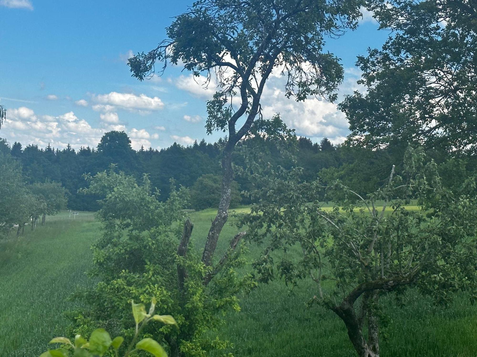 Ferienunterkunft Schwaebischer Wald Oberrot Esterno foto